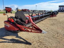 2009 CASE IH 2020