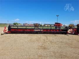 2009 CASE IH 2020