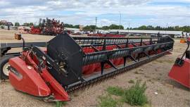 2010 CASE IH 2020