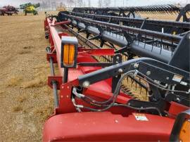 2010 CASE IH 2020