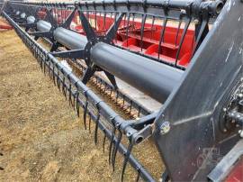 2010 CASE IH 2020