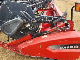 2010 CASE IH 2020