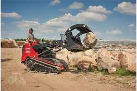 2022 TORO DINGO TXL2000