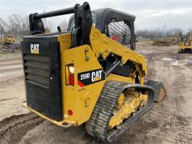 2019 CATERPILLAR 259D