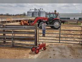 2023 Case IH MAXXUM 135 ACTIVEDRI