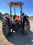 MASSEY FERGUSON 491